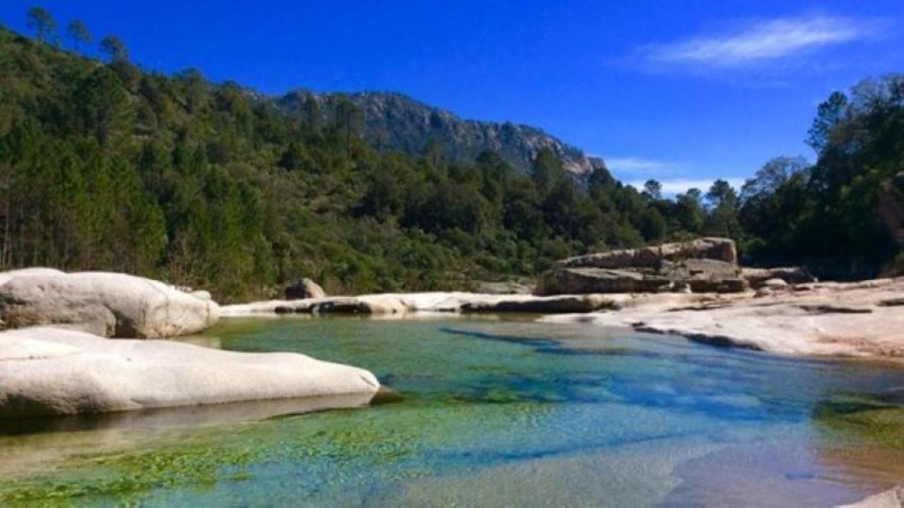 Camping L'Oso Porto-Vecchio (Corsica) Exterior foto