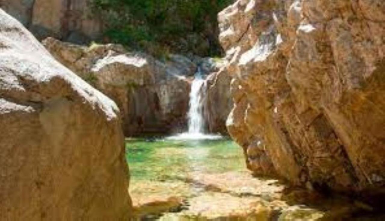 Camping L'Oso Porto-Vecchio (Corsica) Exterior foto